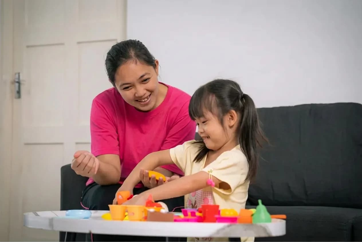 Domestic Helpers